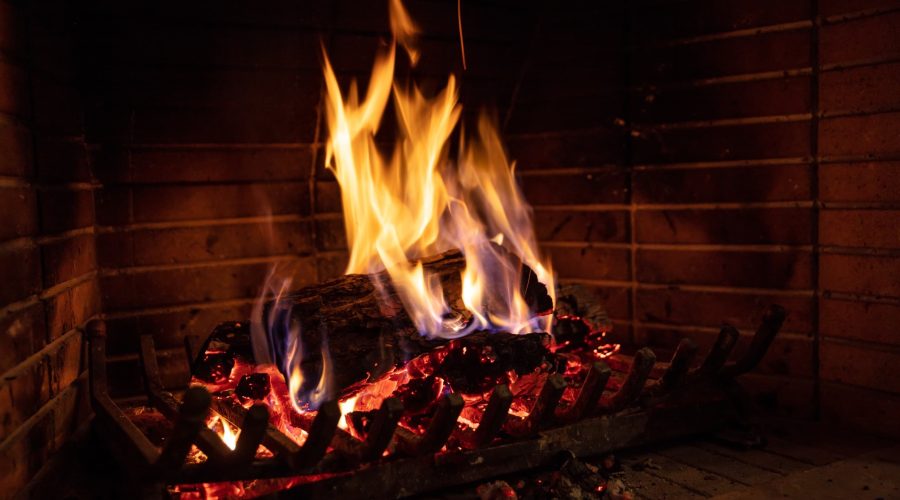 Talen Rondhout houthandel bosexploitatie transport houtchips AVIH ERBO FSC EEV 120-2