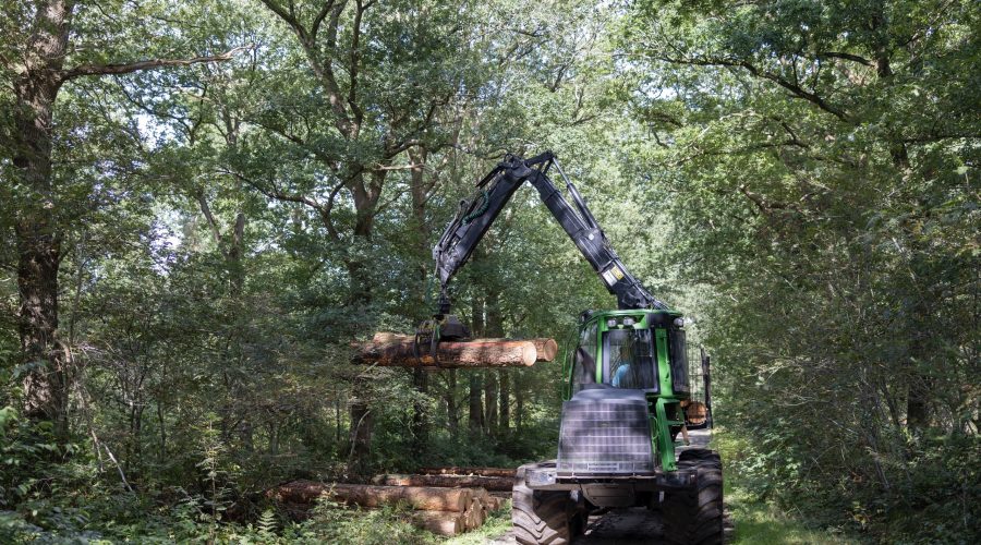 Talen Rondhout houthandel bosexploitatie transport houtchips AVIH ERBO FSC EEV II 107-2