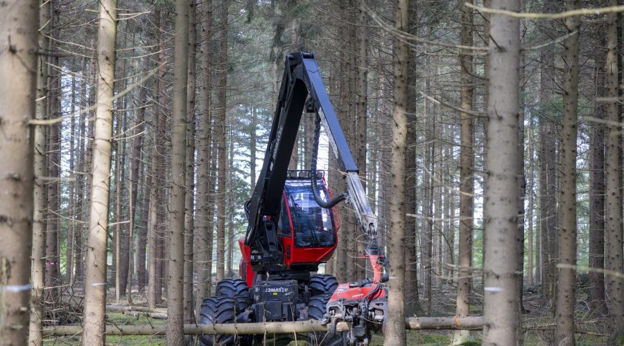 Talen Rondhout houthandel bosexploitatie transport houtchips AVIH ERBO FSC EEVI 31